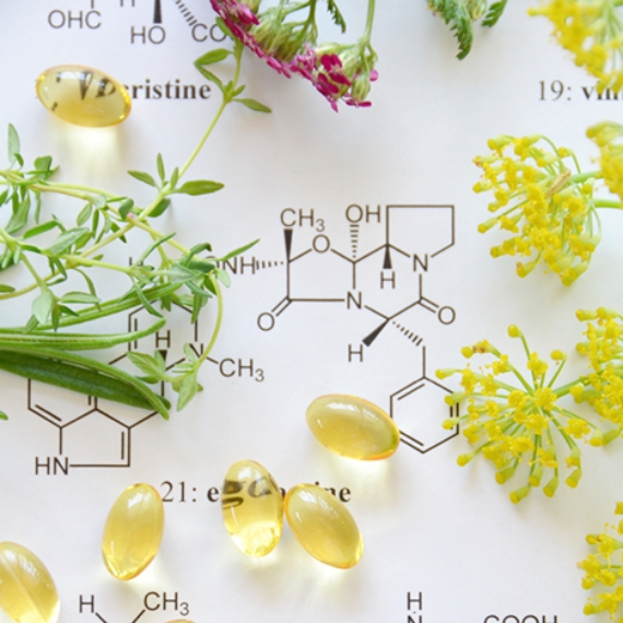 「自然 × 科学 × 感性」の三位一体設計