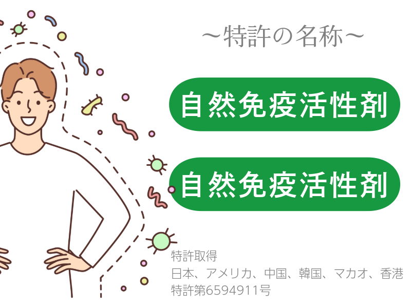 11-1乳酸菌に関する特許資料
