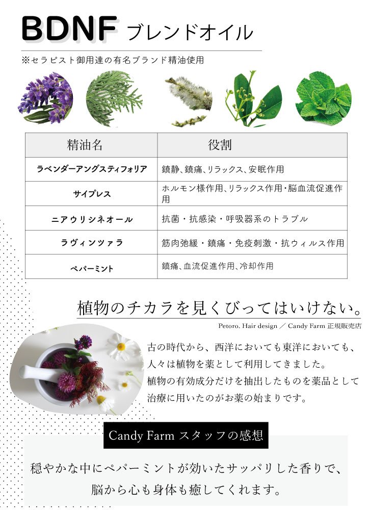 BDNFブレンドオイルに配合された精油とその役割