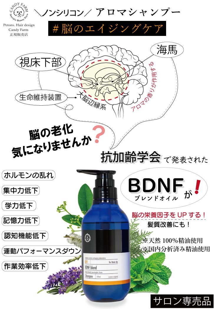 ノンシリコンアロマシャンプー ＃脳のエイジングケア 抗加齢学会で発表されたBDNFブレンドオイル配合