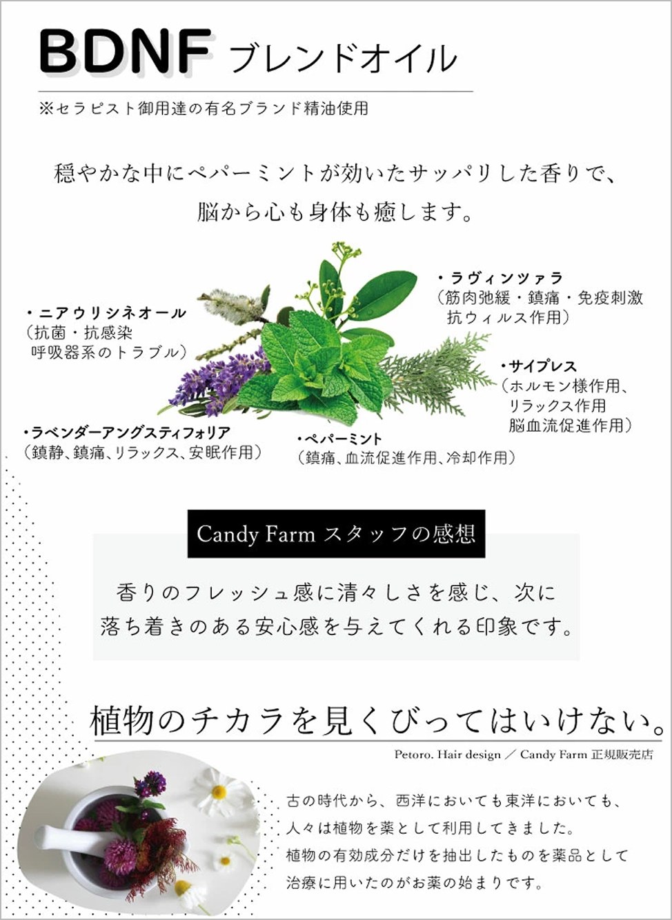 BDNFブレンドオイルに配合された精油とその役割