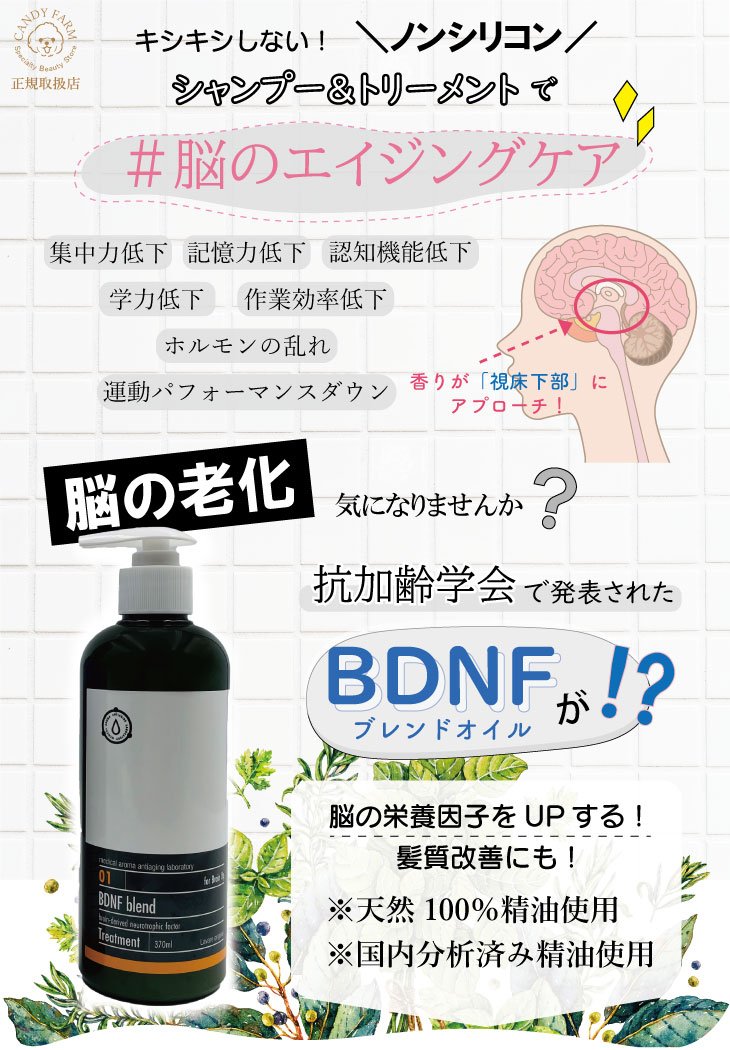 BDNFブレンドオイル ＃脳のエイジングケア