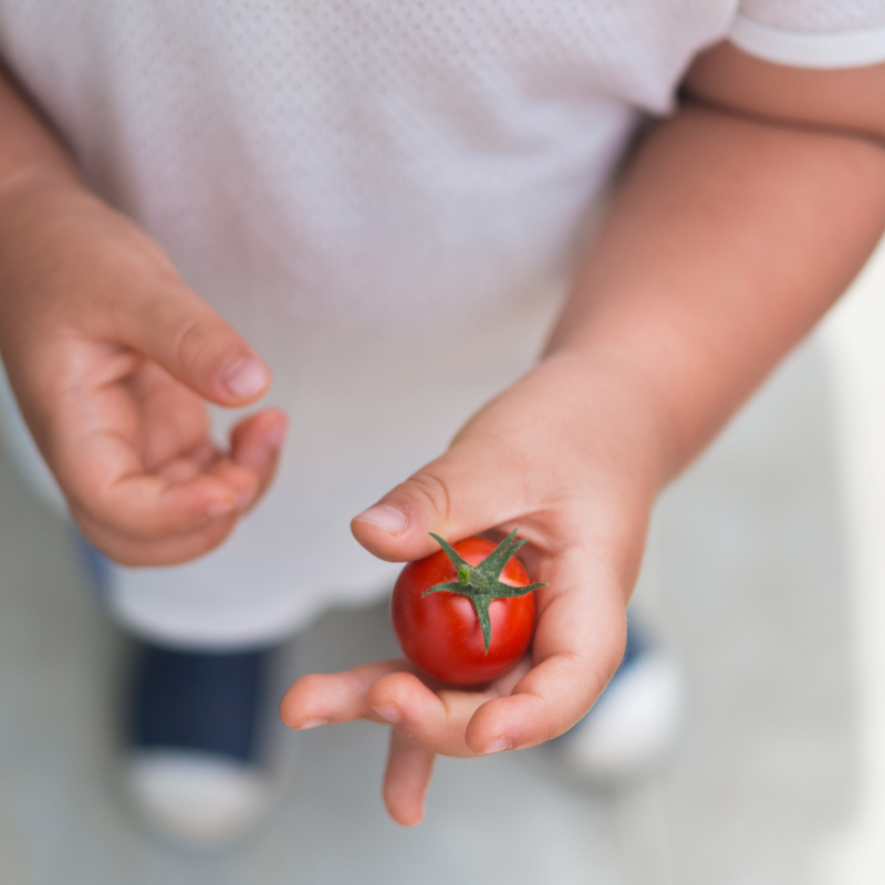 子供たちの未来に誠実な食文化