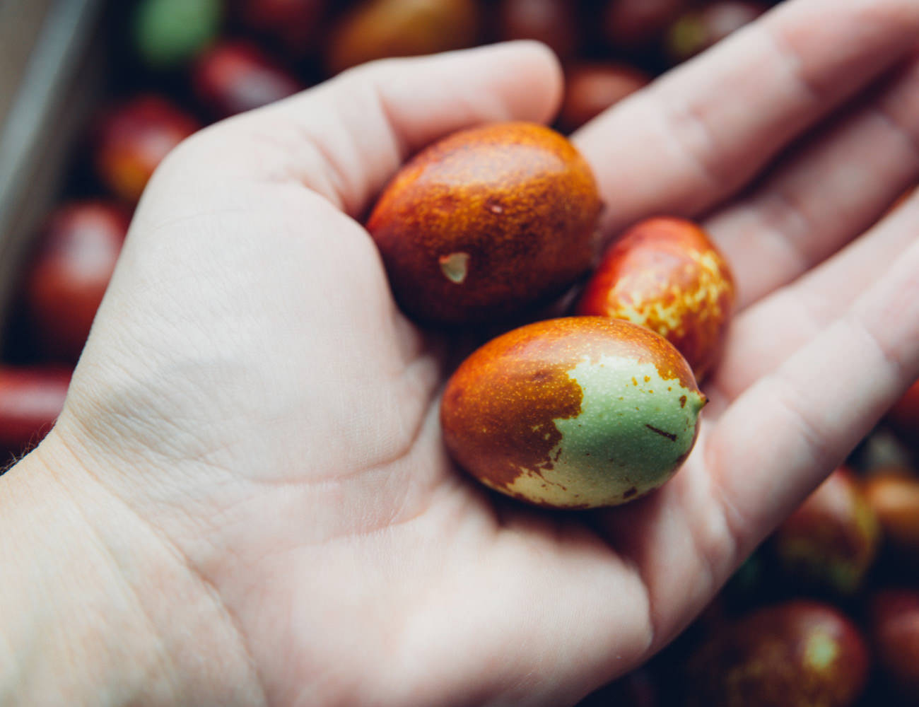 全身に安心して使える