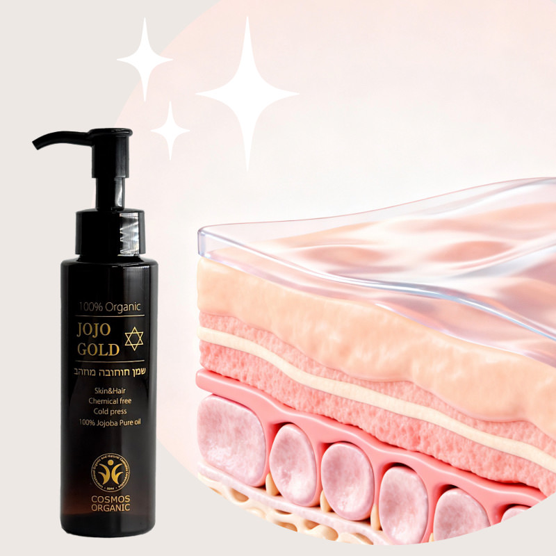 ワックスエステルを補える