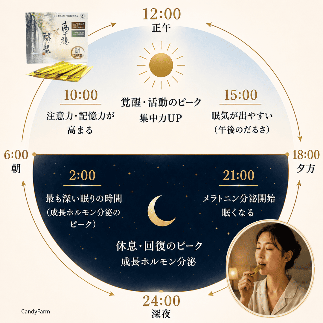 サーカディアンリズムの図