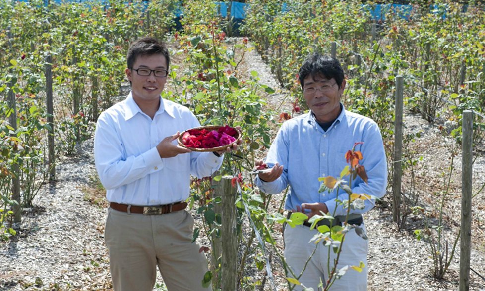 奥出雲薔薇園