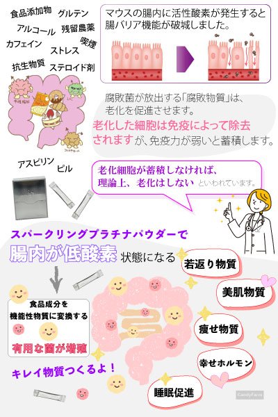 腸内を低酸素にすると腸内細菌がキレイ物質を作る図解