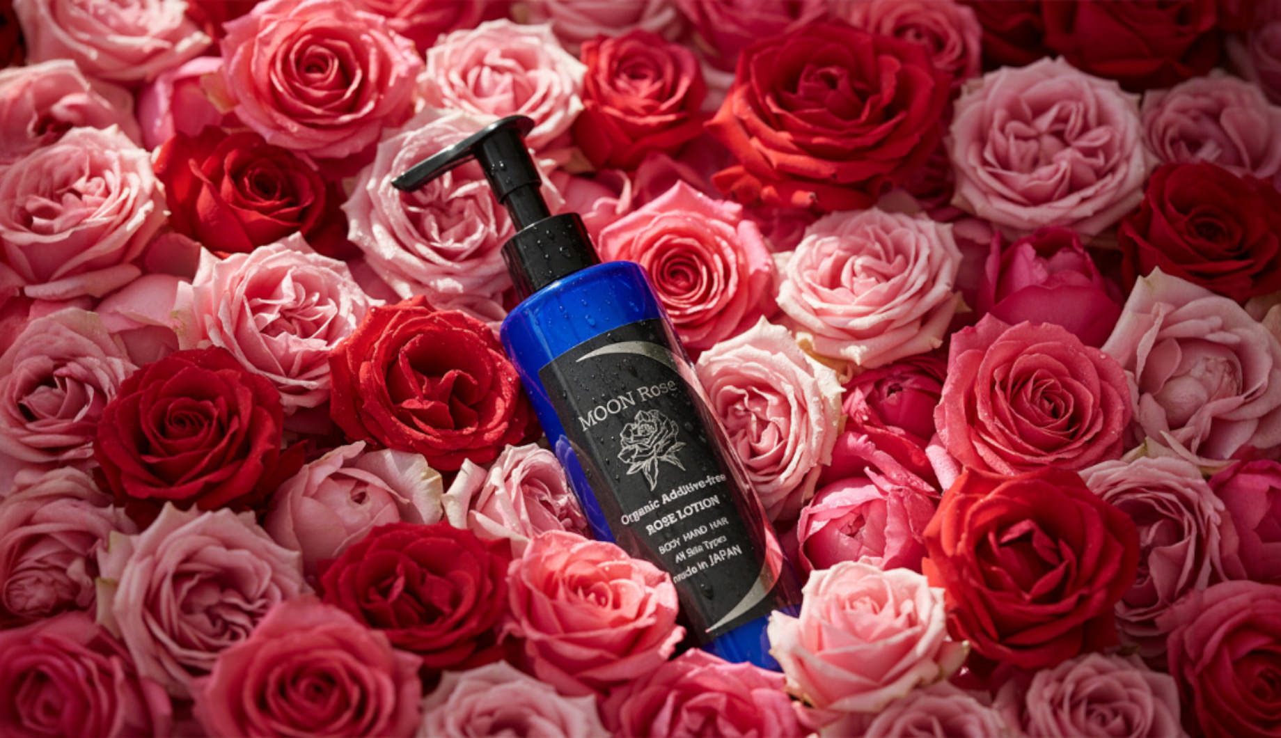 moonrose（moonrose）