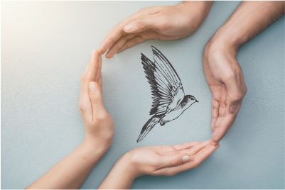 Finest Drink 10本入