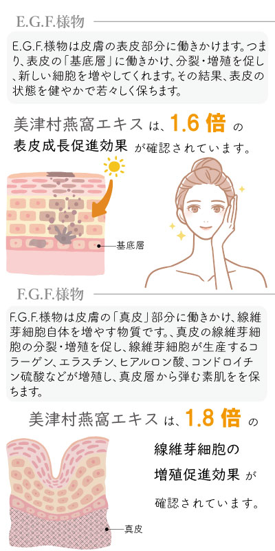 Finest Drink 10本入