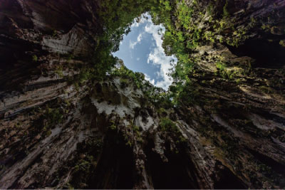 Finest Drink 10本入