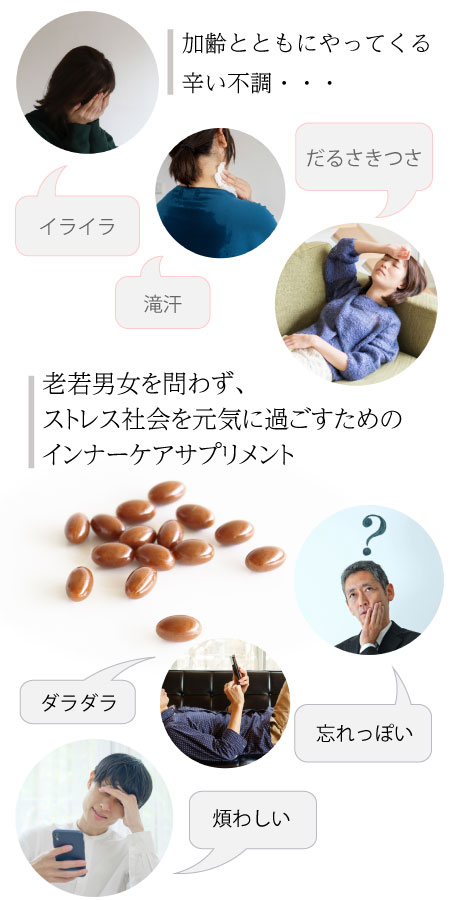 bienca recoverysoftcapsule　　ビエンカ　リカバリーソフトカプセル　更年期