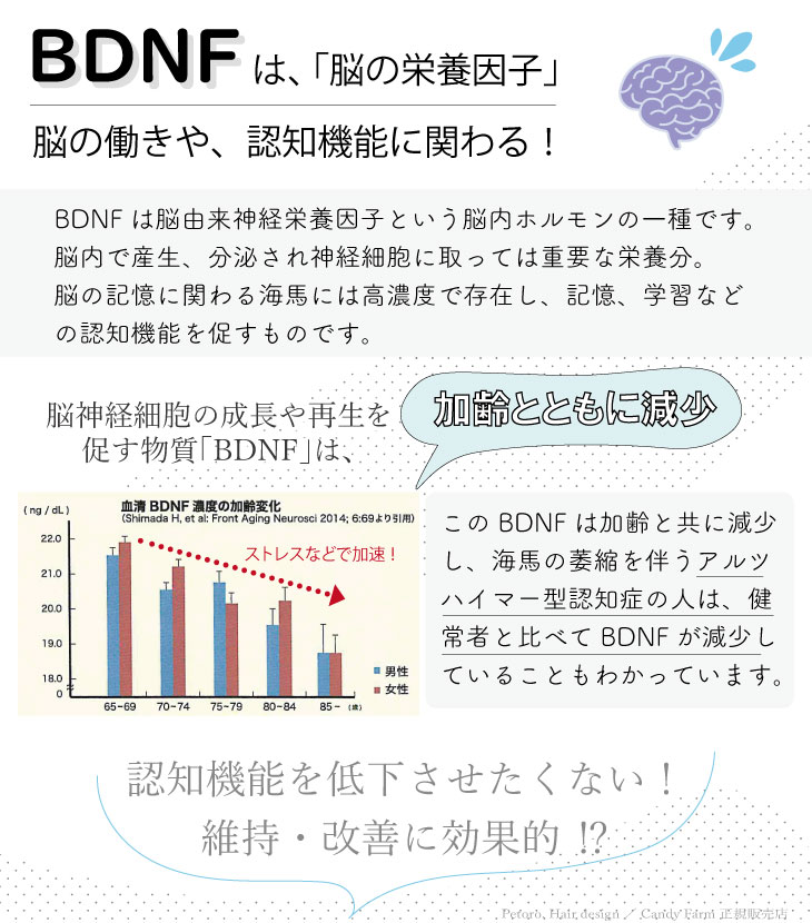 BDNFシャンプー
