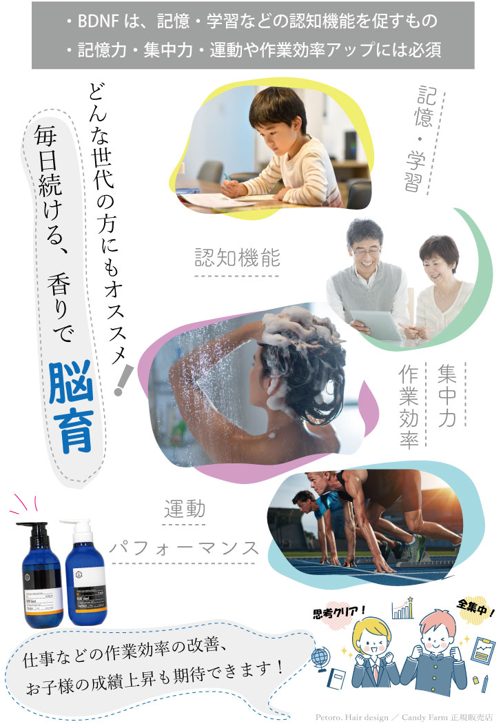 BDNFシャンプー