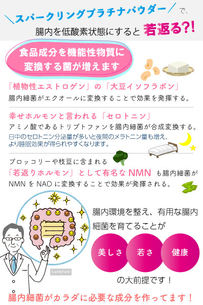 スパークリングプラチナパウダー