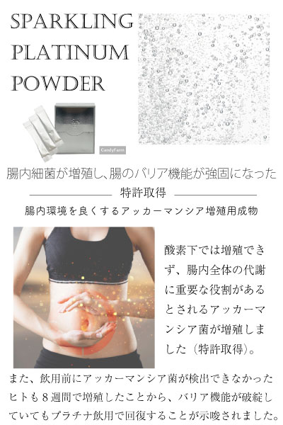 スパークリングプラチナパウダー