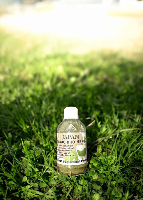 日本山人参パウダー　日向当帰　ヒュウガトウキ