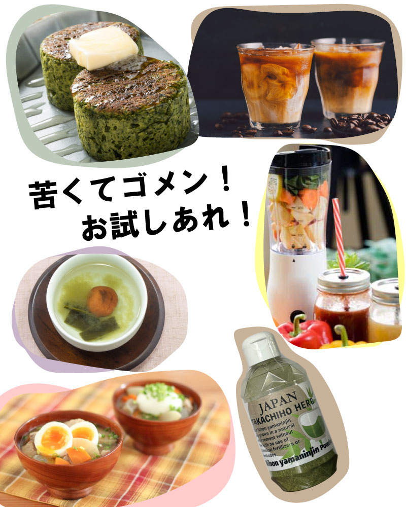 日本山人参パウダー　日向当帰　ヒュウガトウキ