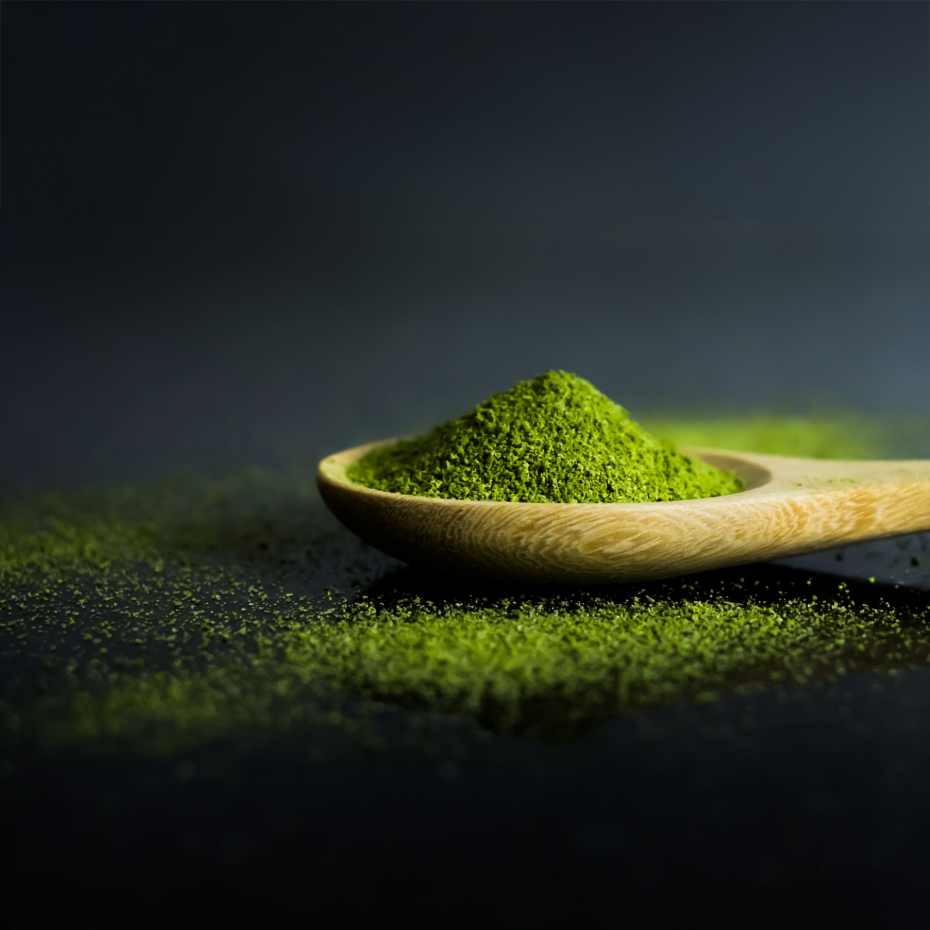 日本山人参パウダー　日向当帰　ヒュウガトウキ